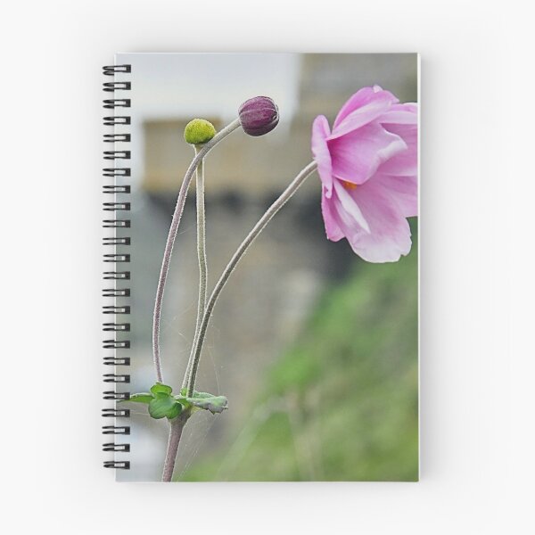 Item preview, The flower and the tower designed and sold by Jean-Luc Rollier.
