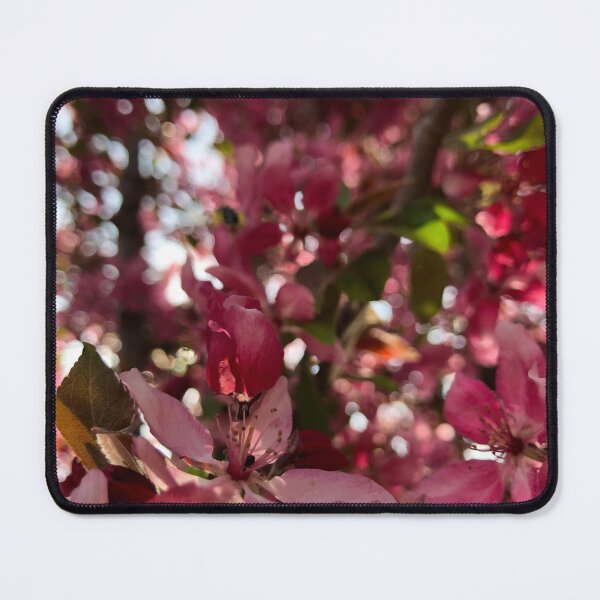 Item preview, Beautiful Cherry Blossoms designed and sold by ArtsyAlcove.