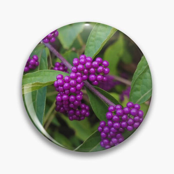 Item preview, Bright Purple Beautyberry designed and sold by Jeanne Kramer-Smyth.