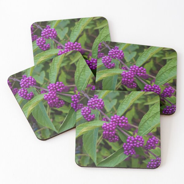 Item preview, Bright Purple Beautyberry designed and sold by Jeanne Kramer-Smyth.