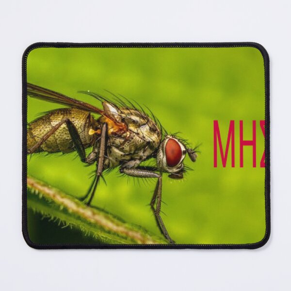 Item preview, Greek idiom(humorous content) designed and sold by Pantelis-design.