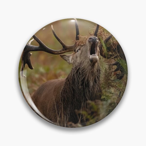 Item preview, The Sound Of Autumn. designed and sold by JoHackman.