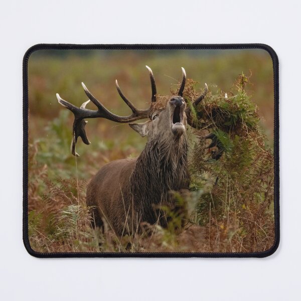 Item preview, The Sound Of Autumn. designed and sold by JoHackman.