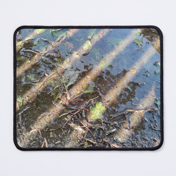Item preview, Streaks of light on a fall puddle reflecting a house across the street designed and sold by tshuki.