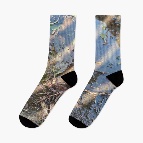 Item preview, Streaks of light on a fall puddle reflecting a house across the street designed and sold by tshuki.