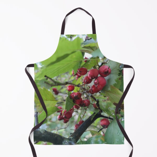 Item preview, Bird treat Hawthorn - I saw a blackbird feasting on them. designed and sold by tshuki.