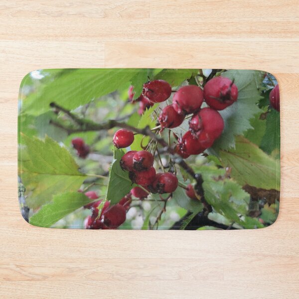 Item preview, Bird treat Hawthorn - I saw a blackbird feasting on them. designed and sold by tshuki.
