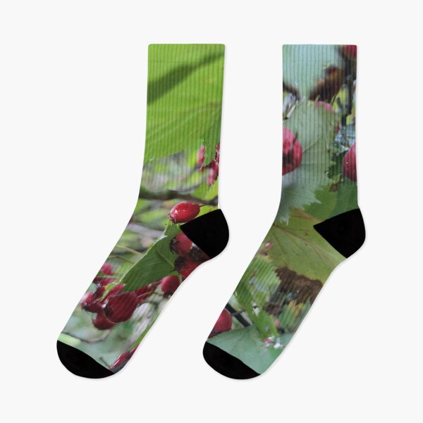 Item preview, Bird treat Hawthorn - I saw a blackbird feasting on them. designed and sold by tshuki.