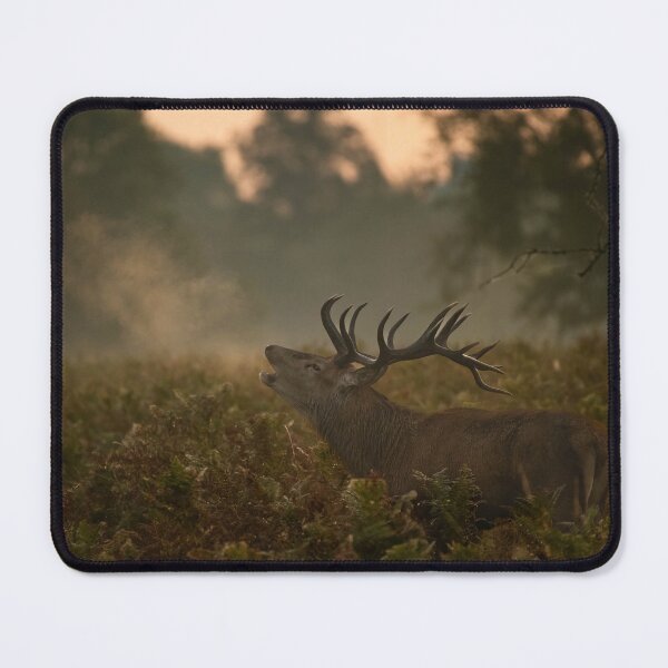 Item preview, Sunrise Calling. designed and sold by JoHackman.