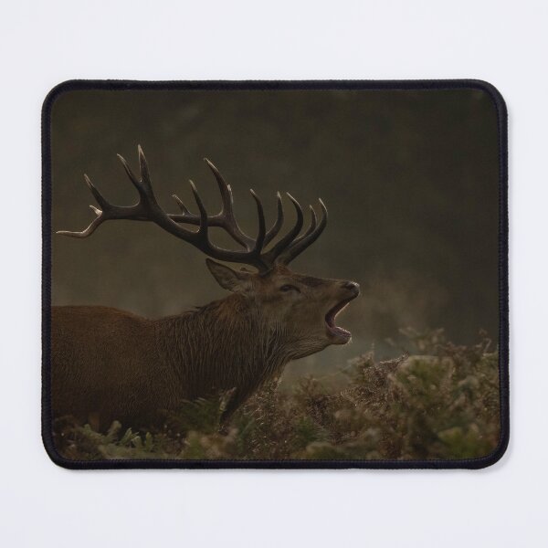 Item preview, Autumn Mornings.  designed and sold by JoHackman.