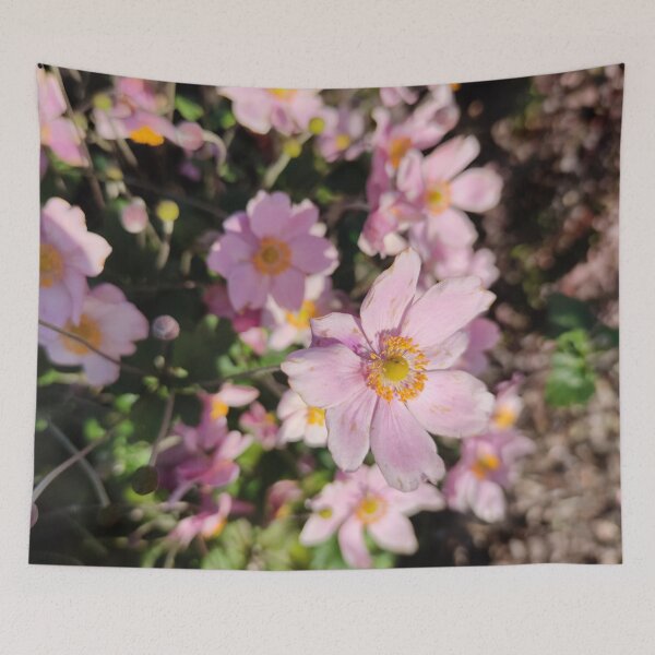 Item preview, Late pink blooms in fall - Japanese anemone designed and sold by tshuki.