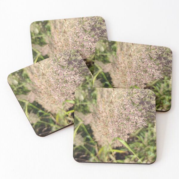 Item preview, Sparkling and fuzzy Korean Feather Reed Grass designed and sold by tshuki.