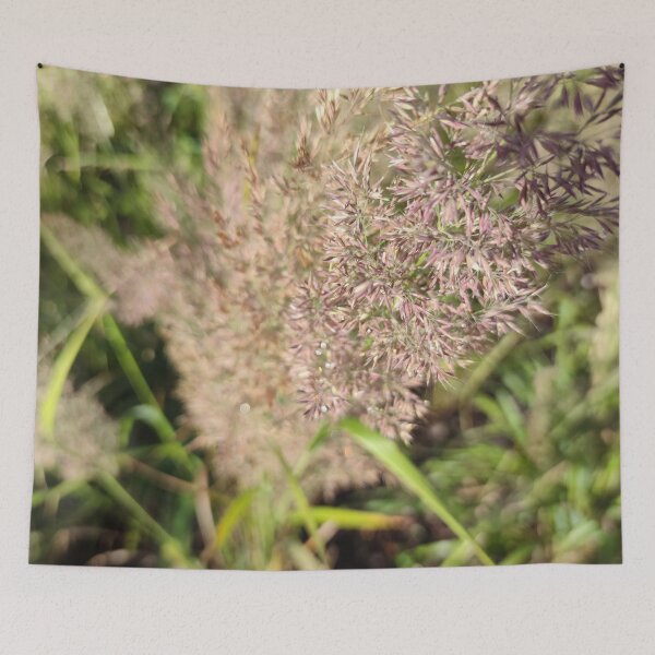 Item preview, Sparkling and fuzzy Korean Feather Reed Grass designed and sold by tshuki.