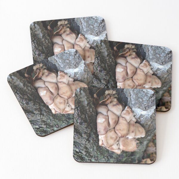 Item preview, A batch of squeezed up fungi in a bark of birch tree designed and sold by tshuki.