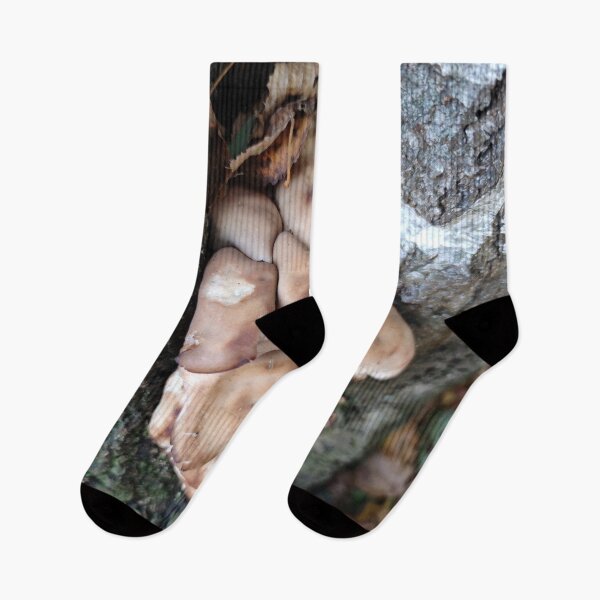 Item preview, A batch of squeezed up fungi in a bark of birch tree designed and sold by tshuki.