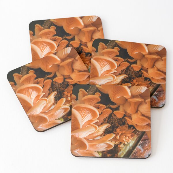 Item preview, Pink Oyster Mushrooms designed and sold by Alec Bochar.