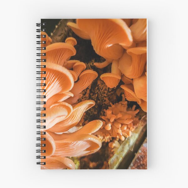 Item preview, Pink Oyster Mushrooms designed and sold by Alec Bochar.