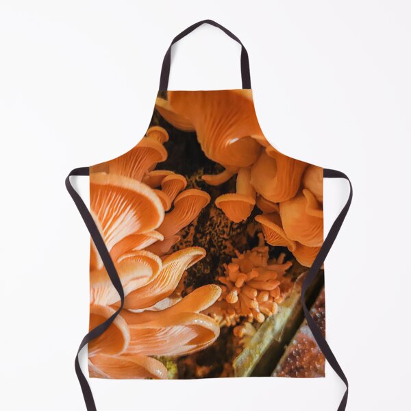 Item preview, Pink Oyster Mushrooms designed and sold by Alec Bochar.