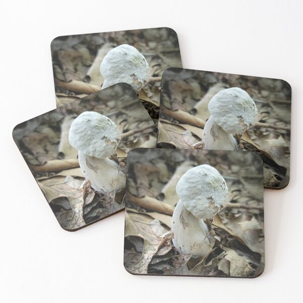 Item preview, White Mushroom designed and sold by Alec Bochar.