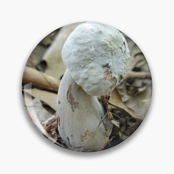 Item preview, White Mushroom designed and sold by Alec Bochar.