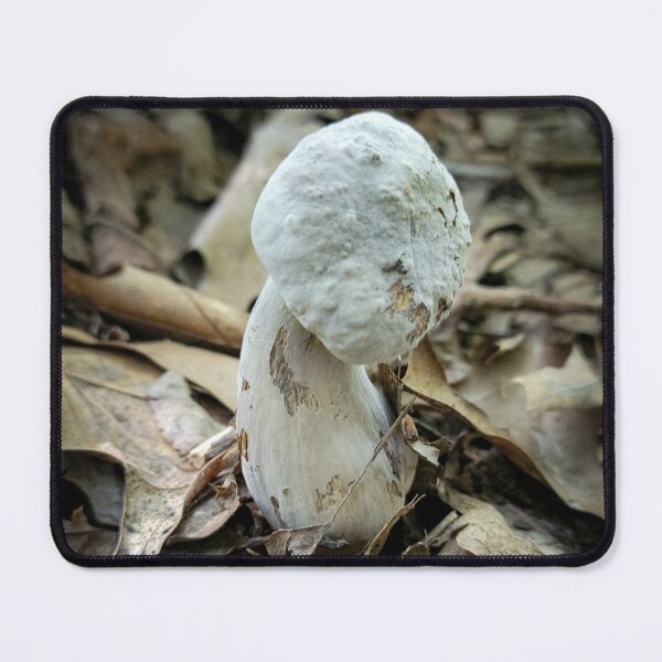 Item preview, White Mushroom designed and sold by Alec Bochar.