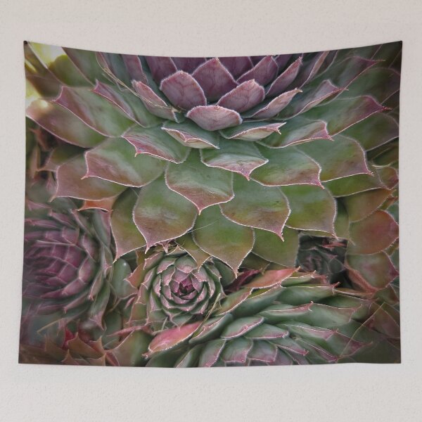 Item preview, Succulents designed and sold by Alec Bochar.