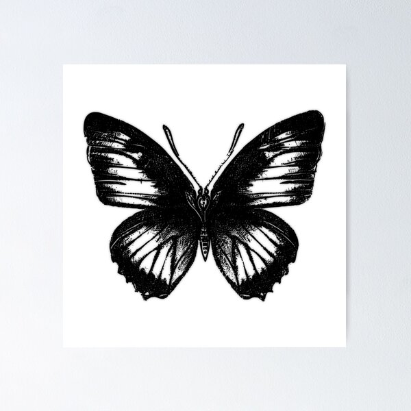 Item preview, DBDS, Flutterby Series, Charcoal Rubbing Butterfly designed and sold by DBDSLifestyle.