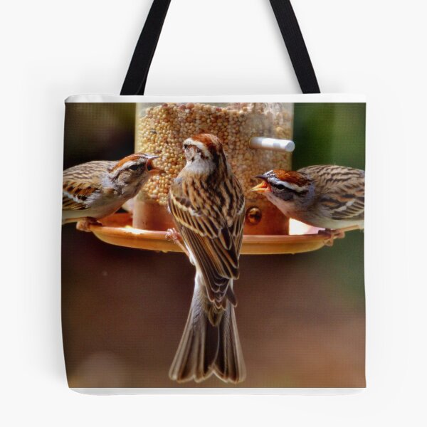 Item preview, Sibling Rivalry designed and sold by Eileen Brymer.