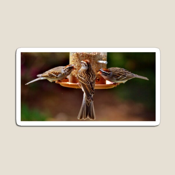 Item preview, Sibling Rivalry designed and sold by Eileen Brymer.