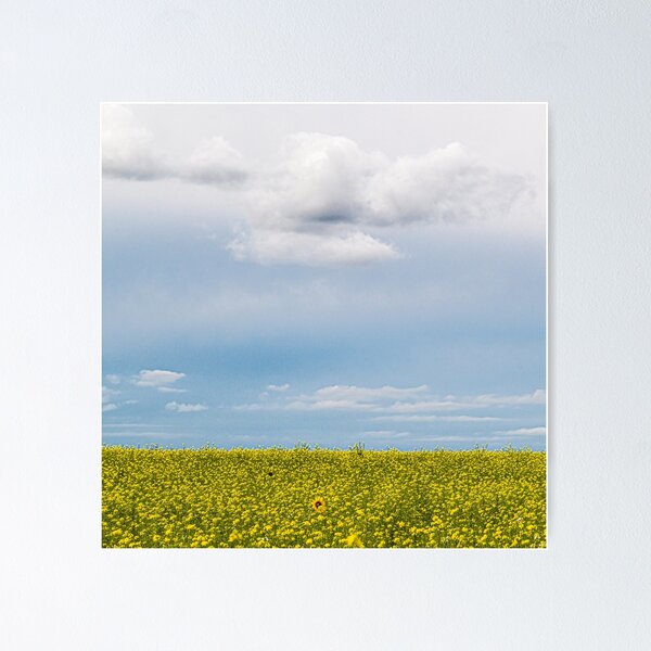 Item preview, A Sunflower designed and sold by metriognome.
