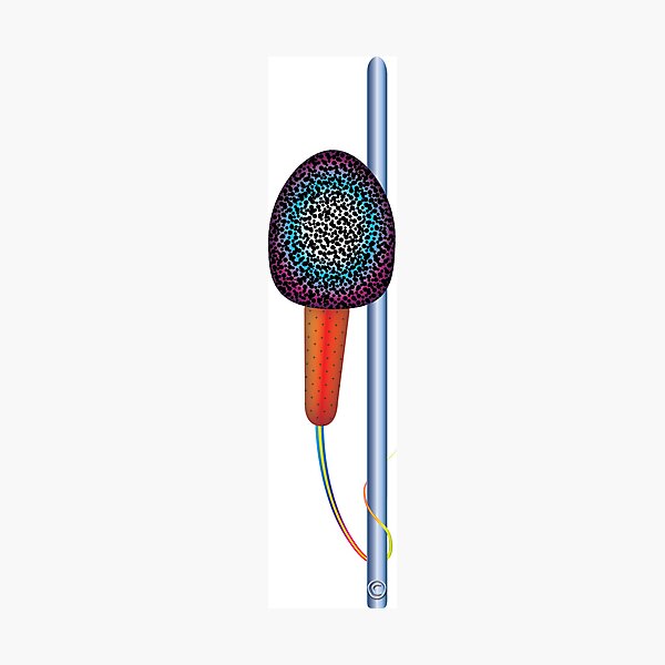 Item preview, Pole Dancer designed and sold by Berlat Correa.