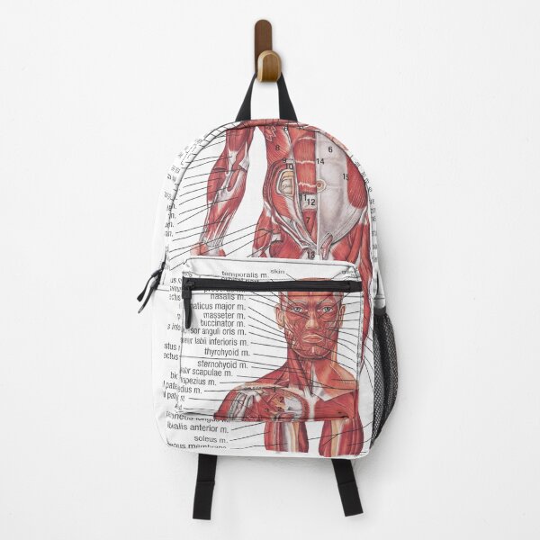 Item preview, Muscular System of the Human Body designed and sold by Hoorahville.