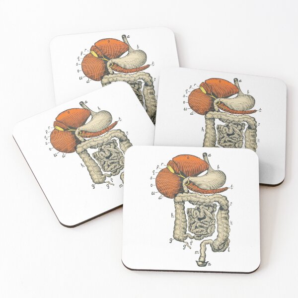 Item preview, Digestive System Diagram designed and sold by Hoorahville.