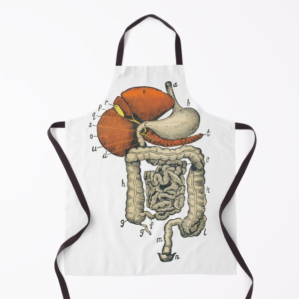 Item preview, Digestive System Diagram designed and sold by Hoorahville.