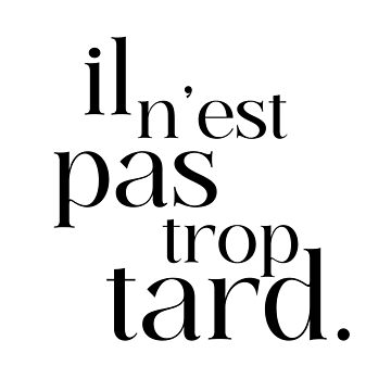 Aperçu de l'œuvre il n'est pas trop tard de enFRANCAISsvp