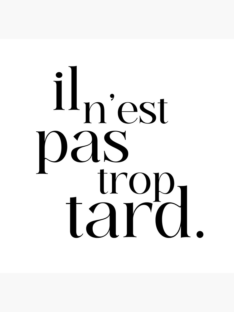 Aperçu 4 sur 4. Coussin avec l'œuvre il n'est pas trop tard créée et vendue par enFRANCAISsvp.