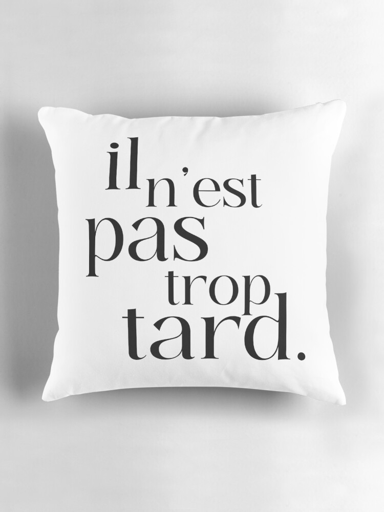 Aperçu 3 sur 4. Coussin avec l'œuvre il n'est pas trop tard créée et vendue par enFRANCAISsvp.