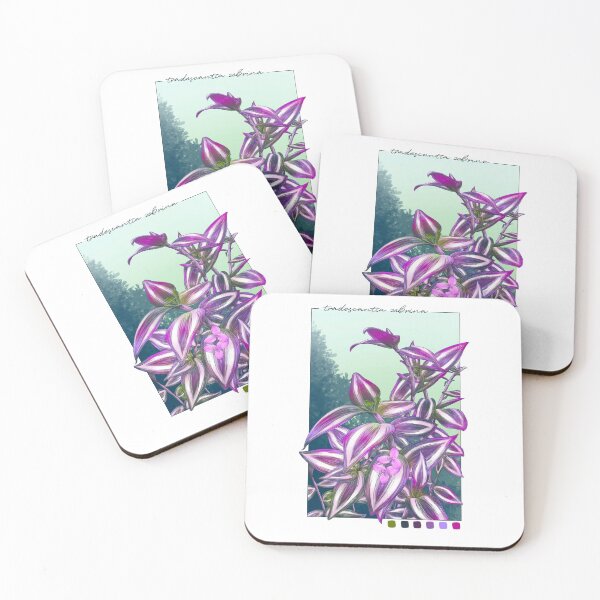 Item preview, Inktober 2023: Tradescantia Zebrina designed and sold by karikun.