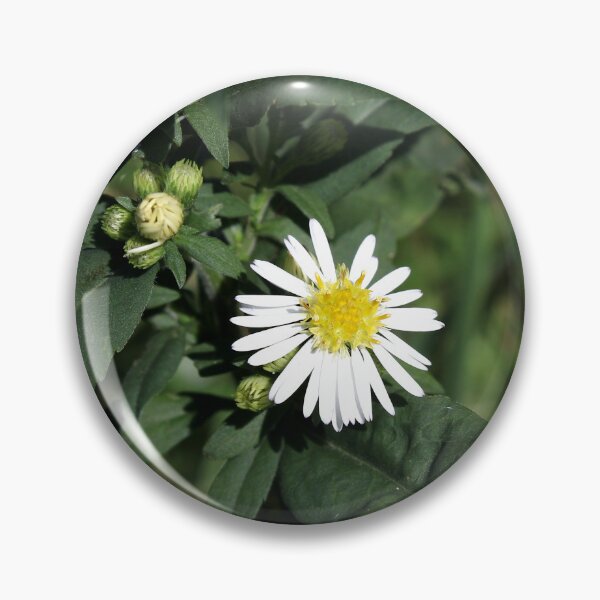 Item preview, Fleabane designed and sold by McFleur's Lens.