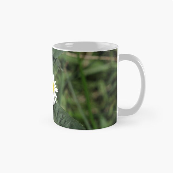 Item preview, Fleabane designed and sold by McFleur's Lens.