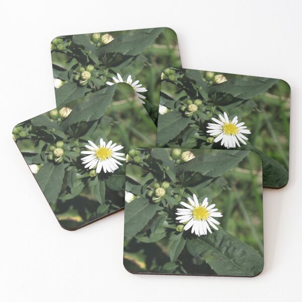 Item preview, Fleabane designed and sold by McFleur's Lens.