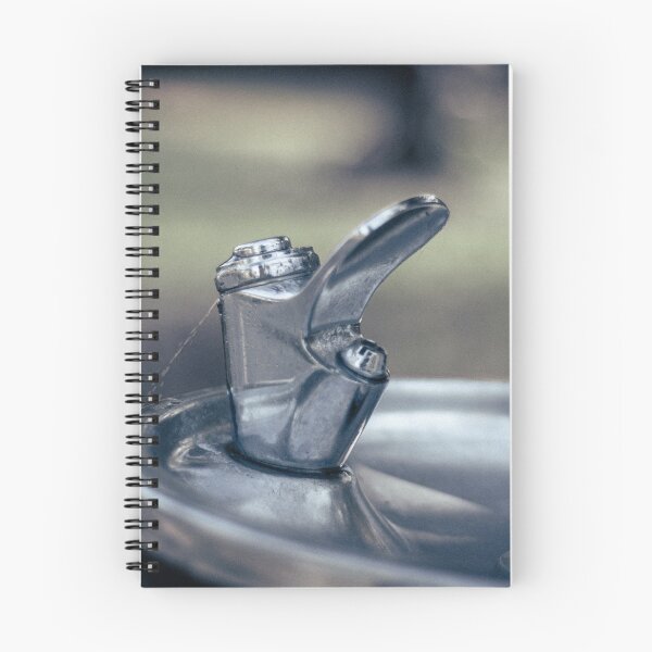 Item preview, The Fountain in Disrepair designed and sold by LaVeyanist.