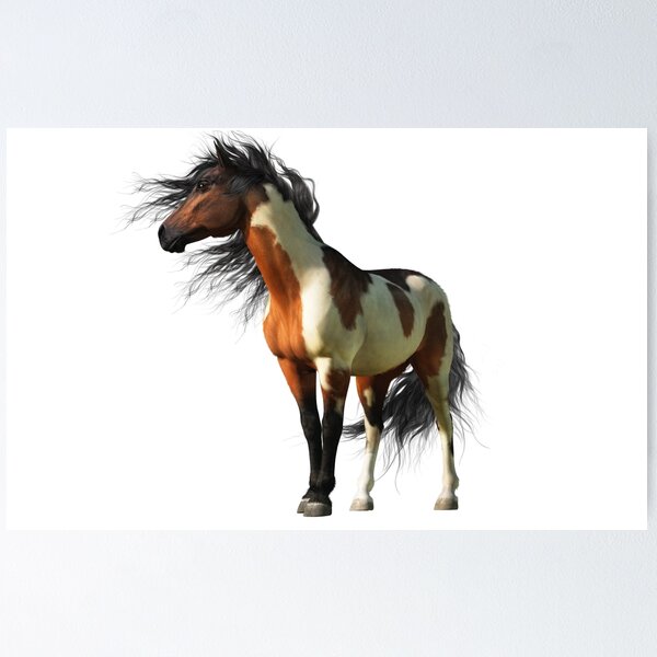 Item preview, Tobiano designed and sold by Daniel Eskridge.