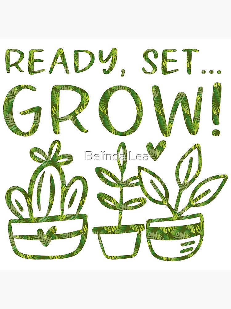 Ready, Set, Grow