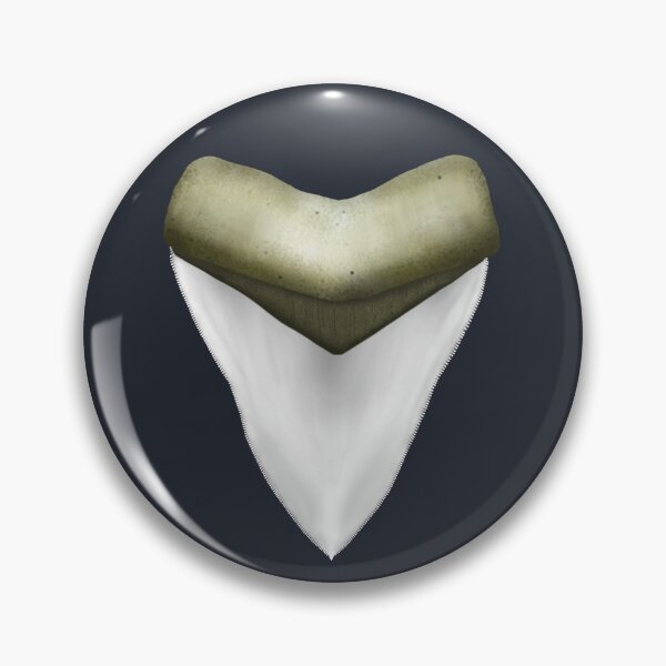 Item preview, Megalodon Tooth designed and sold by Jonathan Andrew Miron.