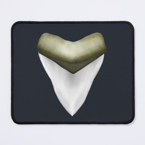 Item preview, Megalodon Tooth designed and sold by JAMiron Paleoart.