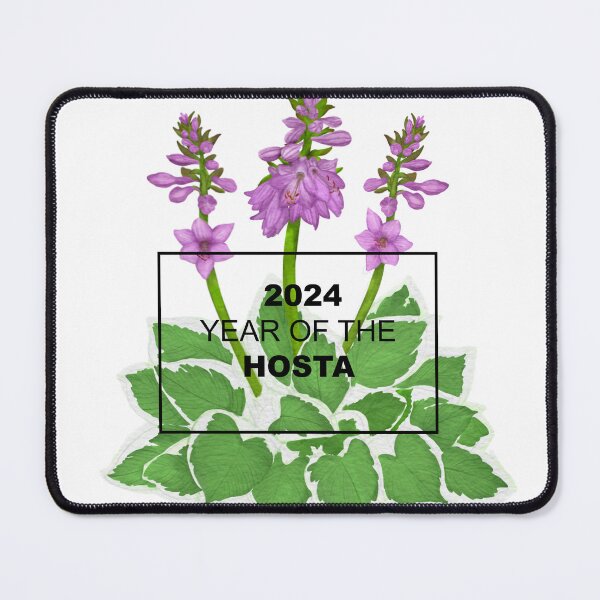 Item preview, Year of the Hosta designed and sold by NationalGarden.