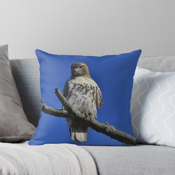 Item preview, Juvenile Red-tailed Hawk designed and sold by Linda Crockett.