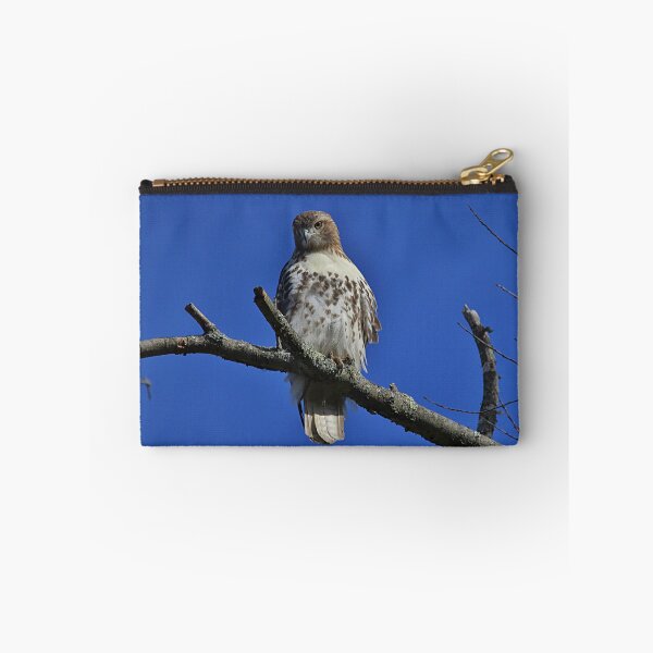 Item preview, Juvenile Red-tailed Hawk designed and sold by Linda Crockett.