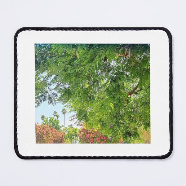 Item preview, California Deaming designed and sold by MomOfArtists.